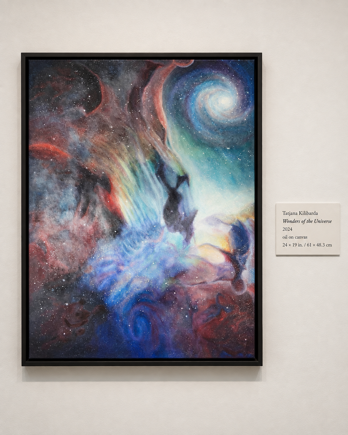 Wonders of the Universe displayed on a gallery wall beside its exhibition label.